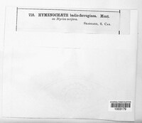 Image Associated With the Occurence